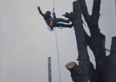 Homme qui abat un arbre - Abattage d'Arbres Expert (Émondeur Lanaudière)