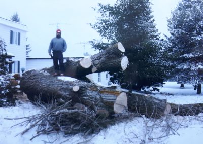 Abattage arbre à Joliette - Abattage arbre Expert (émondeur Lanaudière)