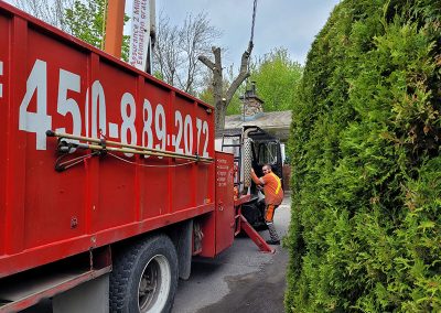 Service d'attabatage et coupe d'arbre à lanaudière et Joliette - Abattage arbre Expert