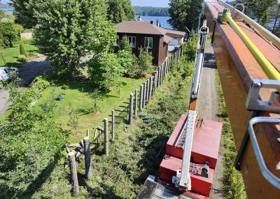 Émondage de haie arbre - Service Émondage Arbres à Joliette et ses environs - Abattage Arbres Expert