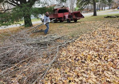 Service de coupe et de déchiquetage arbre a Joliette -Abattage Arbres Expert