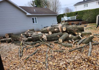 Service de coupe et de déchiquetage arbre a Joliette et ses environs -Abattage Arbres Expert