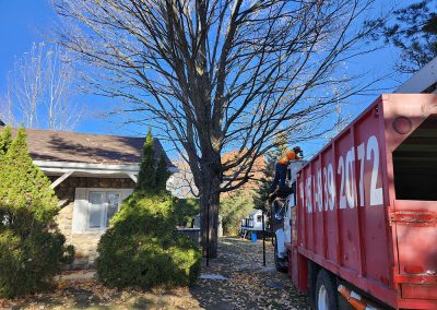 Service élagage arbre à Joliette- Abattage Arbres Expert