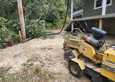 Service de déssouchage et de déchiquetage dans Lanaudière - Abattage Arbre Expert