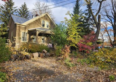 Service expert en abattage d'arbre à Launaudière - Abattage d'arbres expert