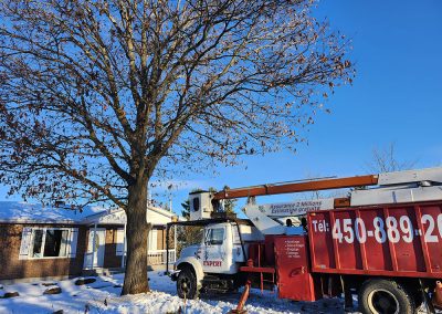 Abattage arbre en hiver - service abattage arbre dans Lanaudière - Abattage Arbre Expert