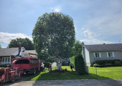 Camion avec déchiqueteuse de branches - Service de déchiquetage de bois et de branche à Joliette et ses environs - Abattage Arbre Expert