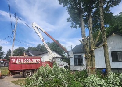 Équipe spécialisée dans la coupe arbre dans Lanaudière et ses environs - Abattage Arbre Expert
