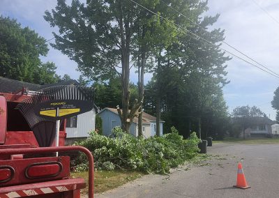 Équipe spécialisée dans la coupe arbre dans la grande région de Lanaudière - Abattage Arbre Expert