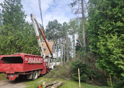 coupe arbre dans des sentiers boisés dans Lanaudière - Abattage Arbre Expert