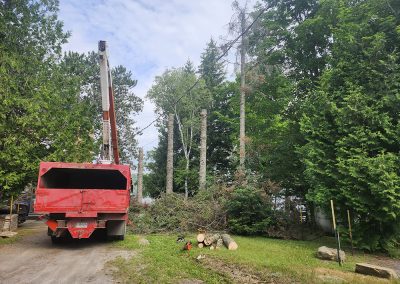 coupe arbre dans des sentiers boisés dans Lanaudière et ses environs - Abattage Arbre Expert