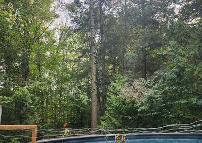 Coupe de branche arbre dangereux dans une cours dans la région de Lanaudière - Abattage Arbre Expert