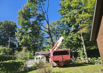Service abattage arbre dans la grande région de Lanaudière et leur environs - Abattage Arbre Expert