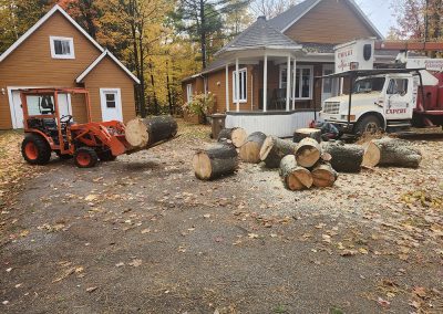 Service de déboisement à Joliette et ses environ - Abattage Abres Expert