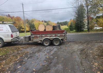 Service de déboisement à Lanaudière et ses environ - Abattage Abres Expert
